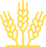ico_count_1-1-4.png